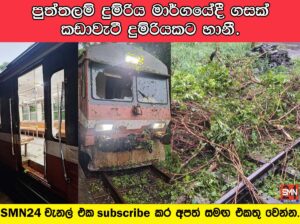 පුත්තලම් දුම්රිය මාර්ගයේදී ගසක් කඩාවැටී දුම්රියකට හානී.
