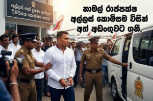 මන්ත්‍රී නාමල් රාජපක්ෂ අල්ලස් හෝ දූෂණ චෝදනා විමර්ශන කොමිසම මගින් අත් අඩංගුවට ගනී.
