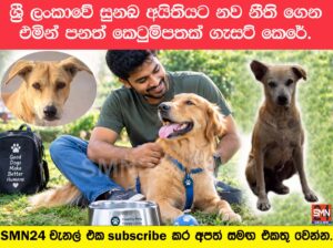 ශ්‍රී ලංකාවේ සුනඛ අයිතියට නව නීති ගෙන එමින් පනත් කෙටුම්පතක් ගැසට් කෙරේ. එන්නත්කරණය සහ ලියාපදිංචිය නොකලොත් දඩ.