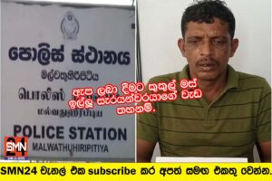ඇප ලබා දීමට කුකුල් මස් ඉල්ලූ සැරයන්වරයාගේ වැඩ තහනම්.